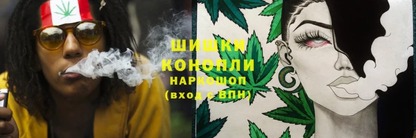 винт Абаза